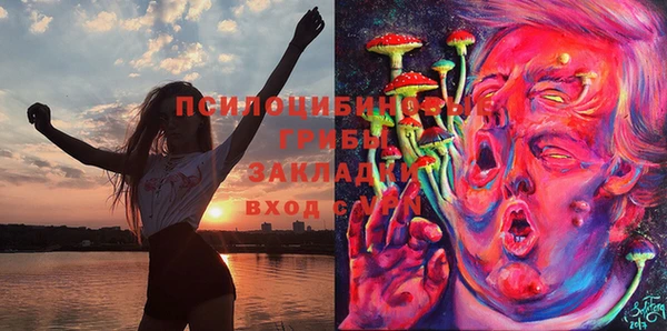 первитин Осинники