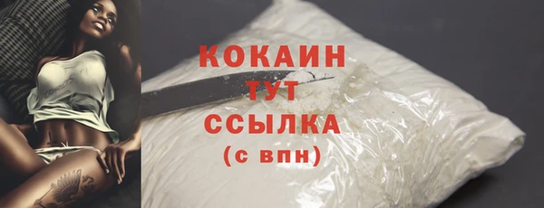 первитин Осинники