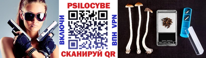 Псилоцибиновые грибы мицелий  Купить  Шацк